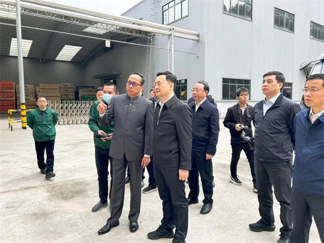 江西省副省長陳敏蒞臨江西益佳木業(yè)調(diào)研江西林業(yè)高質(zhì)量發(fā)展工作